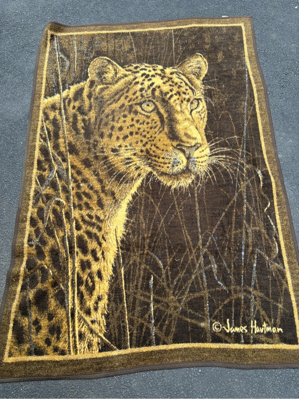 Biederlack Reversible Blanket Throw Cheetah Leopard  James Hautman Brown Gold